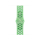 Pasek i akcesoria do zegarków Apple 40mm Green Spark Nike Sport Band - S/M